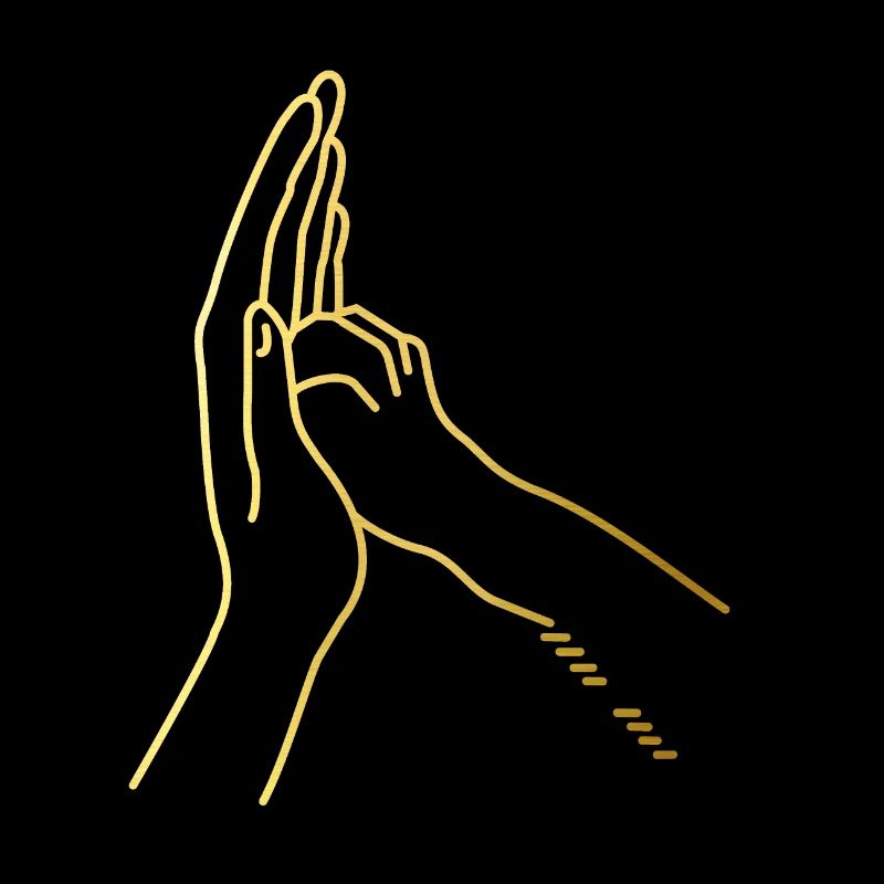 High Five avec chat / chien.