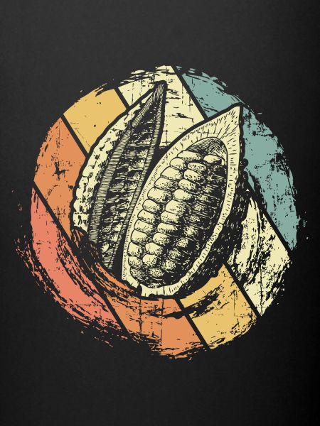 Chocolat cacao