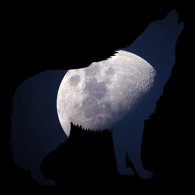 Howling at the Moon