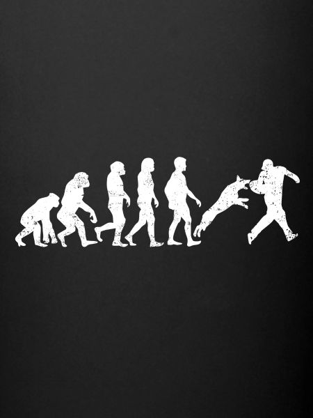 Evolution of Trainer Evolution