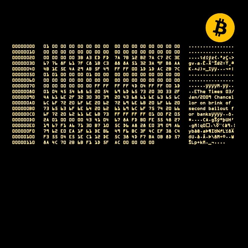 Bitcoin First Block Zero Nerd