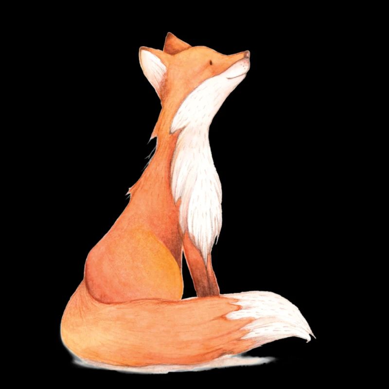 Beautiful fox