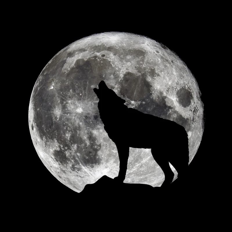 Lune de loup