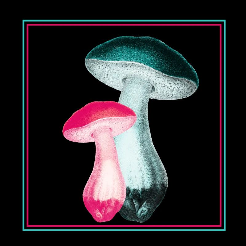 Mushrooms