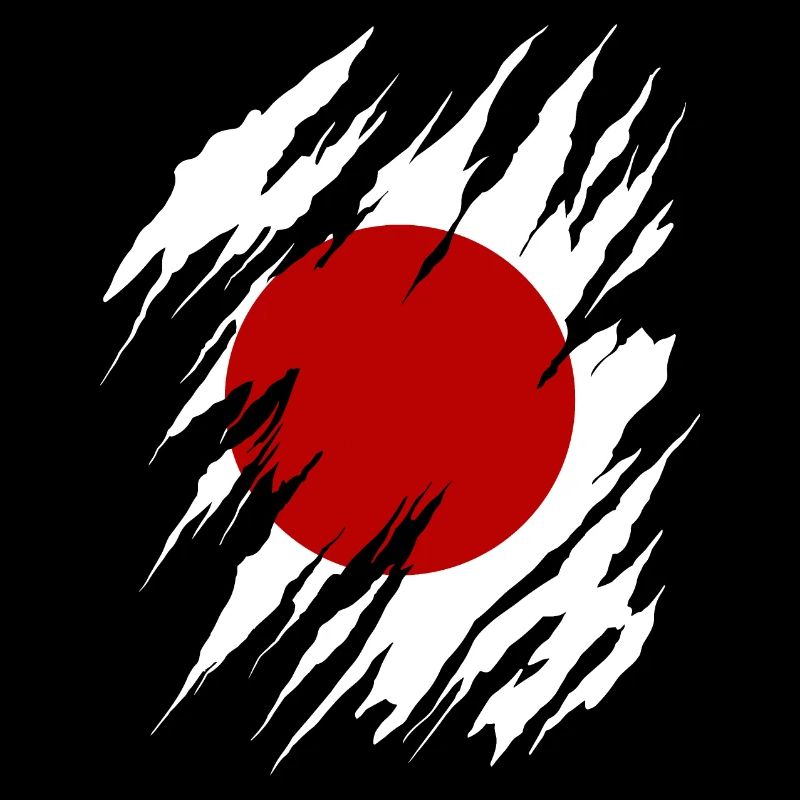 Drapeau du Japon utilisé Look Nihon drapeau japonais