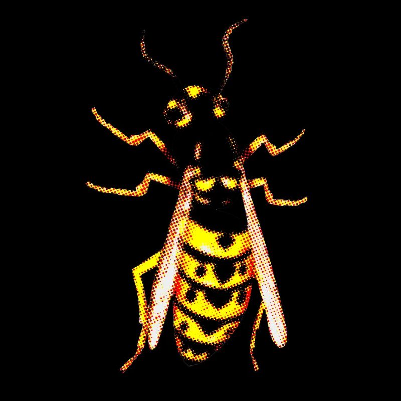 Wasp 1