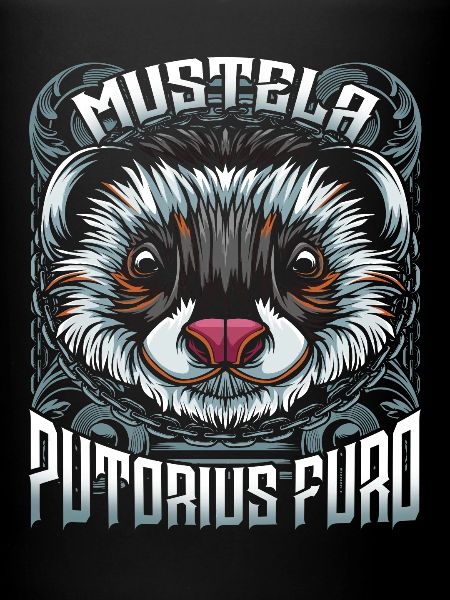 Furets