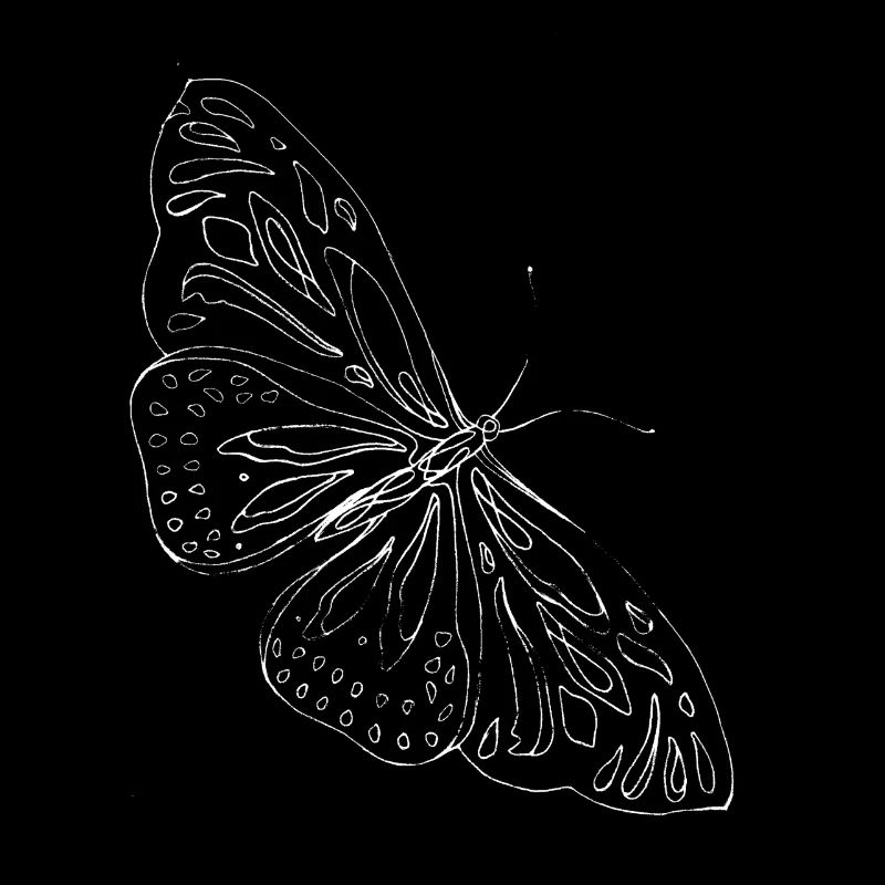 Papillon alpha blanc