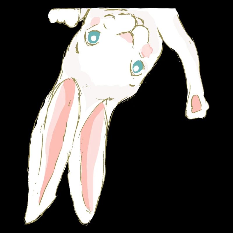 Hase