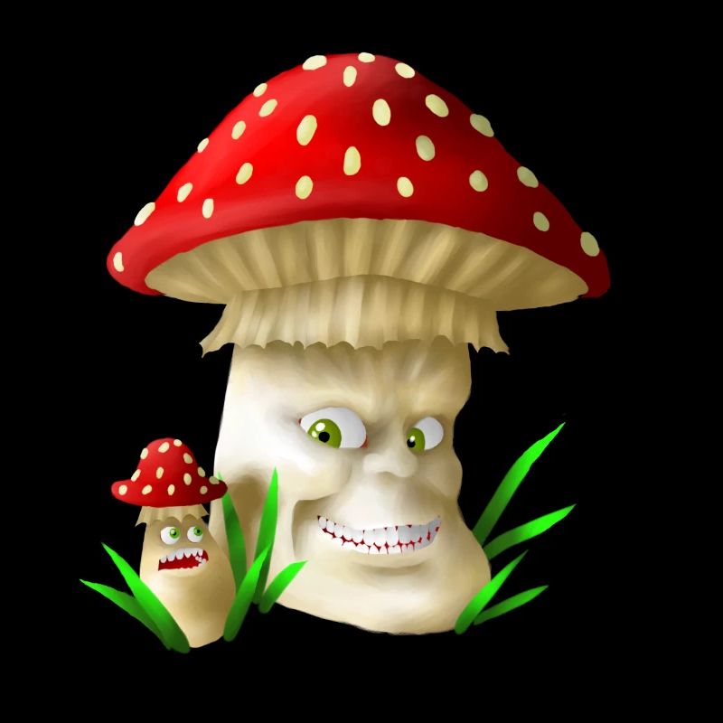 champignons