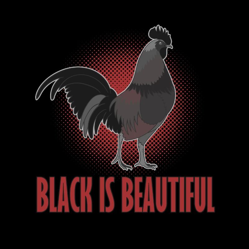 Cemani rooster black chicken