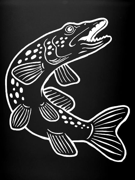 brochet