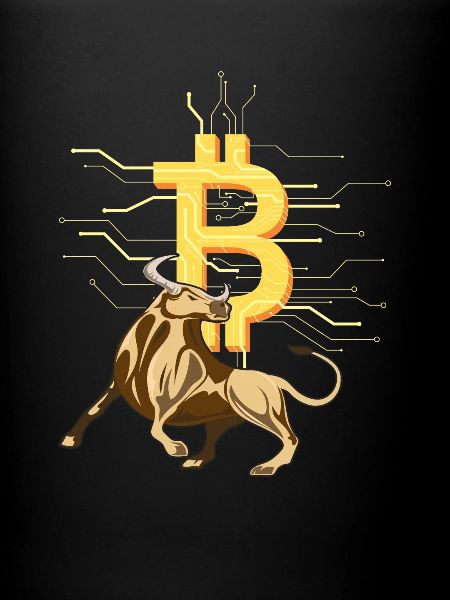 Crypto-monnaie Bitcoin Bull
