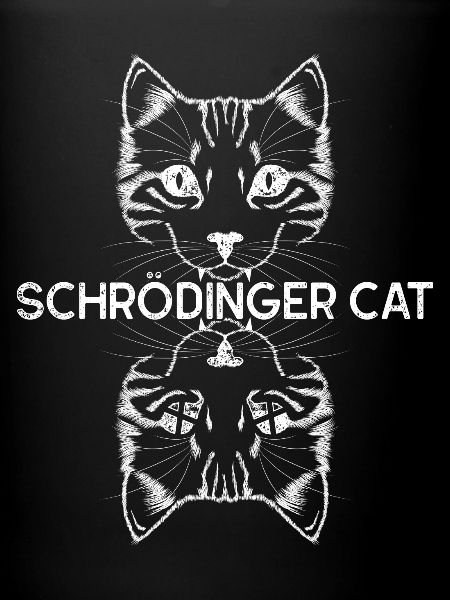 Quantentheorie Schrödingers Katze