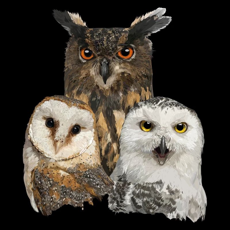 Owls