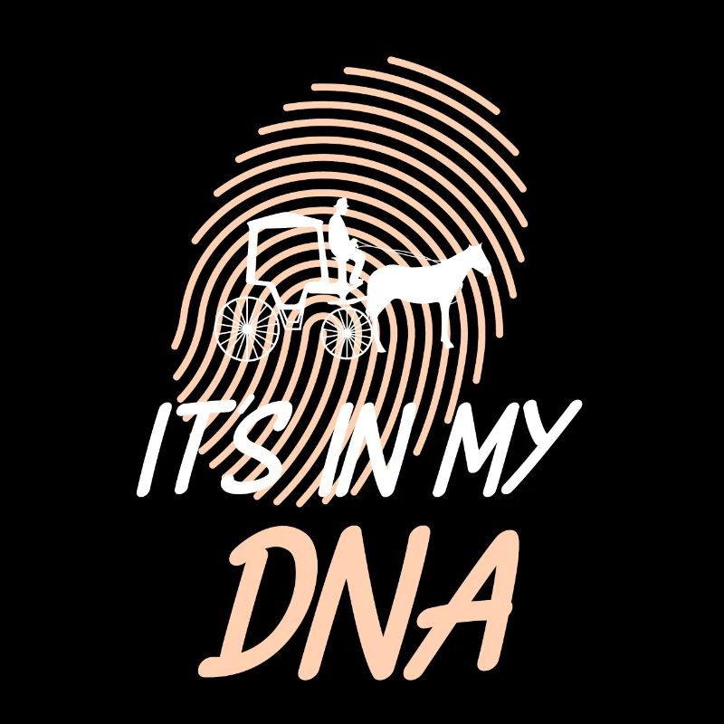 Kutscher Kutsche Pferdekutscher Kutschieren