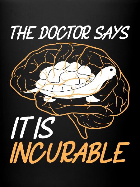 Turtle Turtle