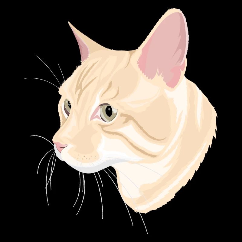 Katze