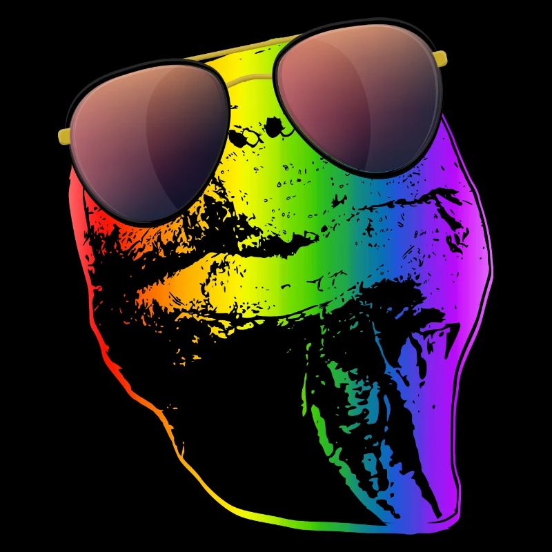 Turtle Sunglasses Turtles Rainbow