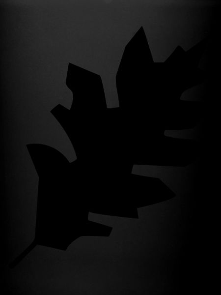 Leaf 24