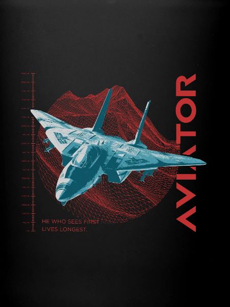 Aviateur F-14 Tomcat