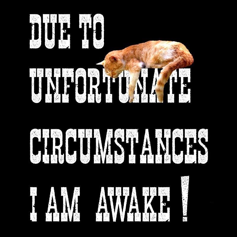 EN RAISON DE CIRCONSTANCES MALHEUREUSES, JE SUIS RÉVEILLÉ! CHAT