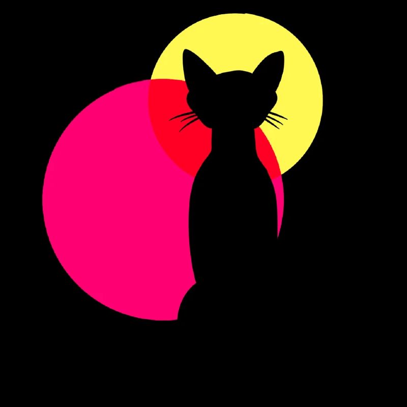 Coucher de soleil de chat