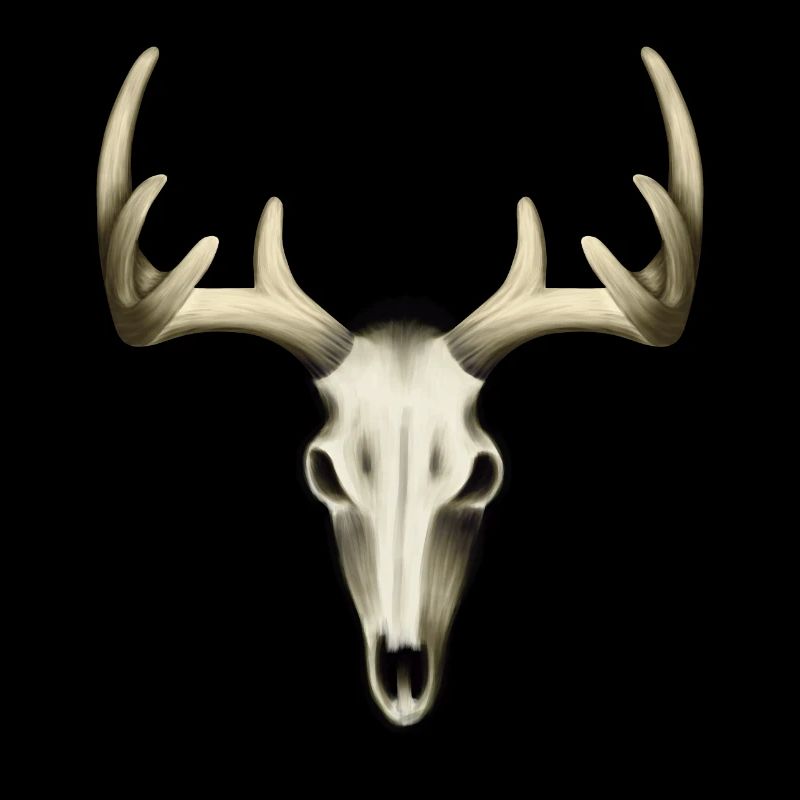 Deer Skull - Drawn Bones