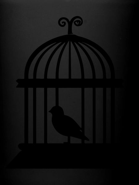 Vogelbauer
