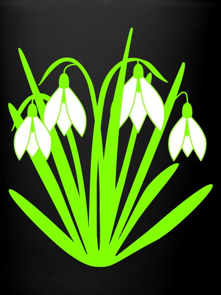 Quatre perce-neige