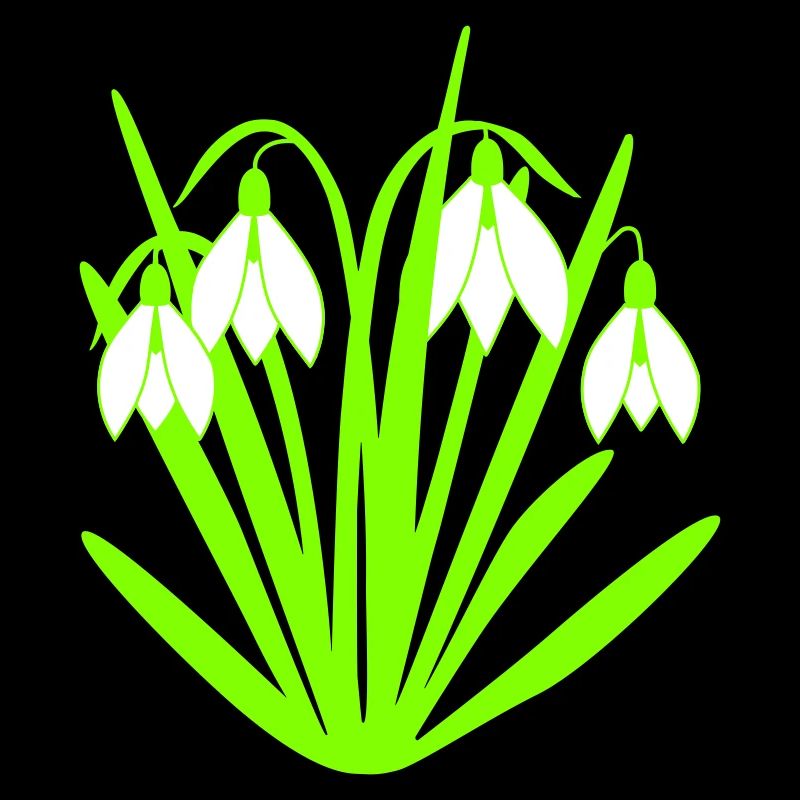 Vier Schneeglöckchen