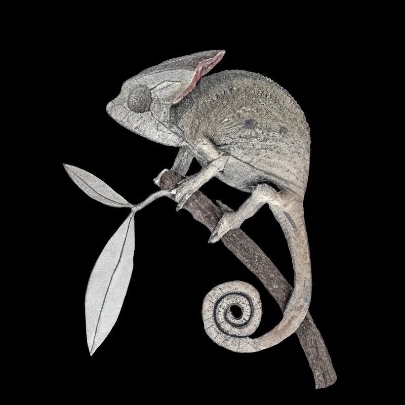 Chameleon 3 concrete