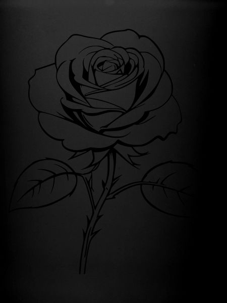 Contours de rose