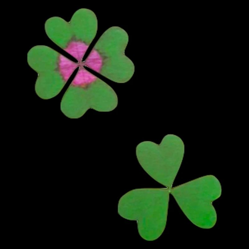 Vierblättriges Kleeblatt