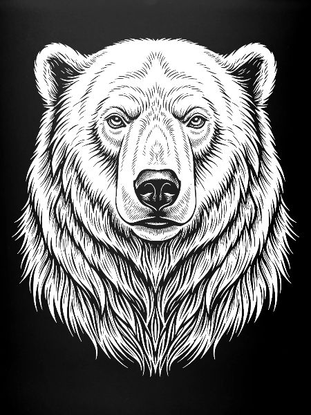 Dessin de lignes d’ours