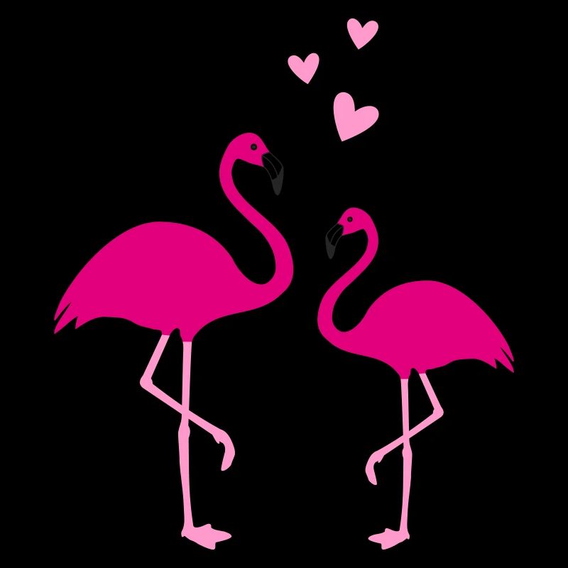 Flamingos Liebe Duo
