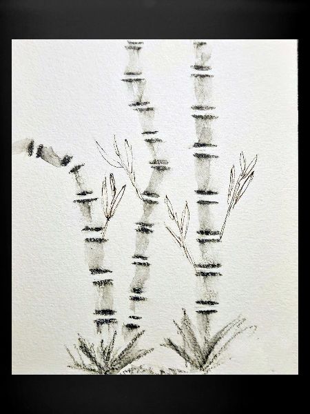Dessin en bambou à l’encre