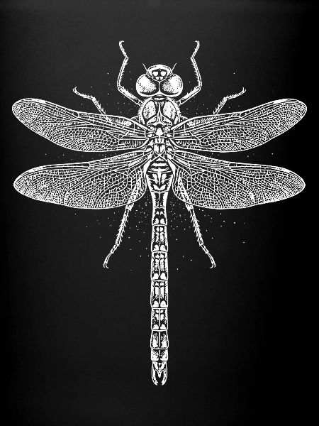 Moonlit Dragonfly Line Art