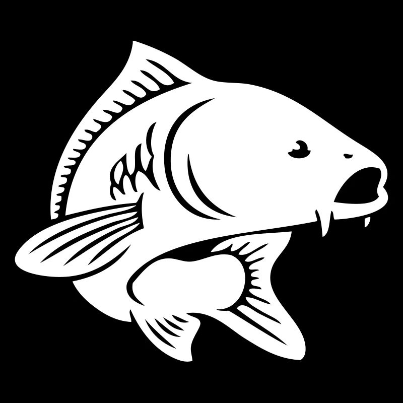 Un poisson carpe.