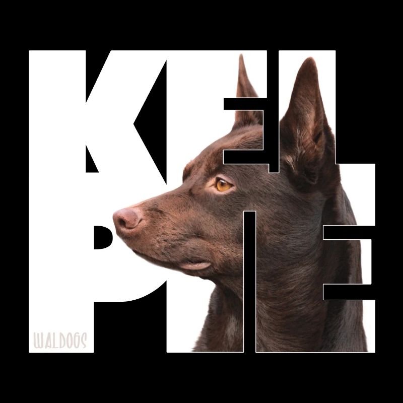 Kelpie I