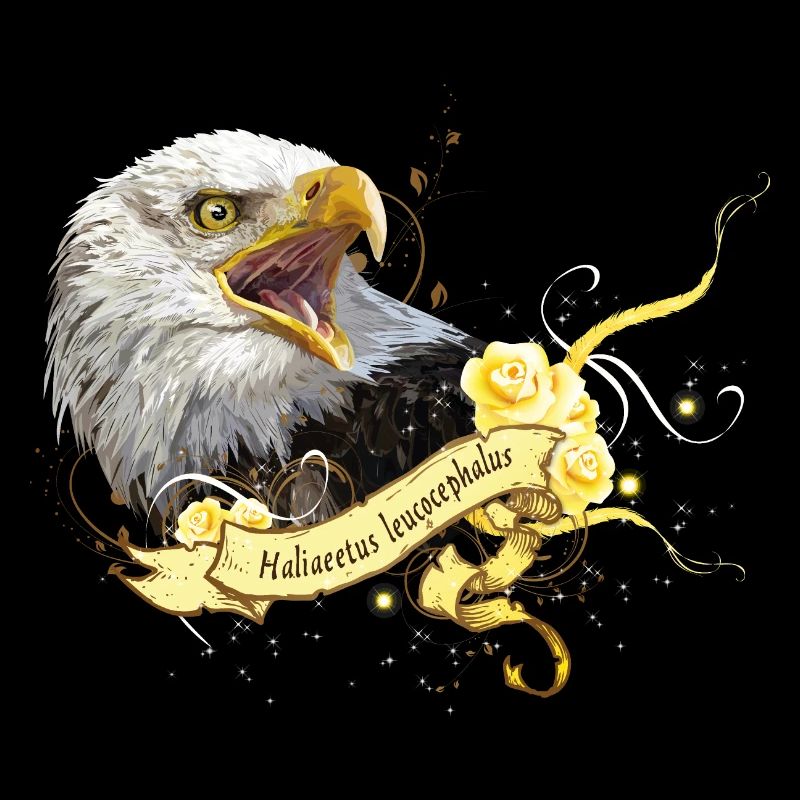 Aigle chauve
