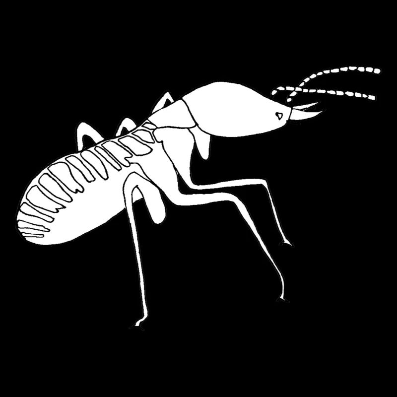 Soldat de termite