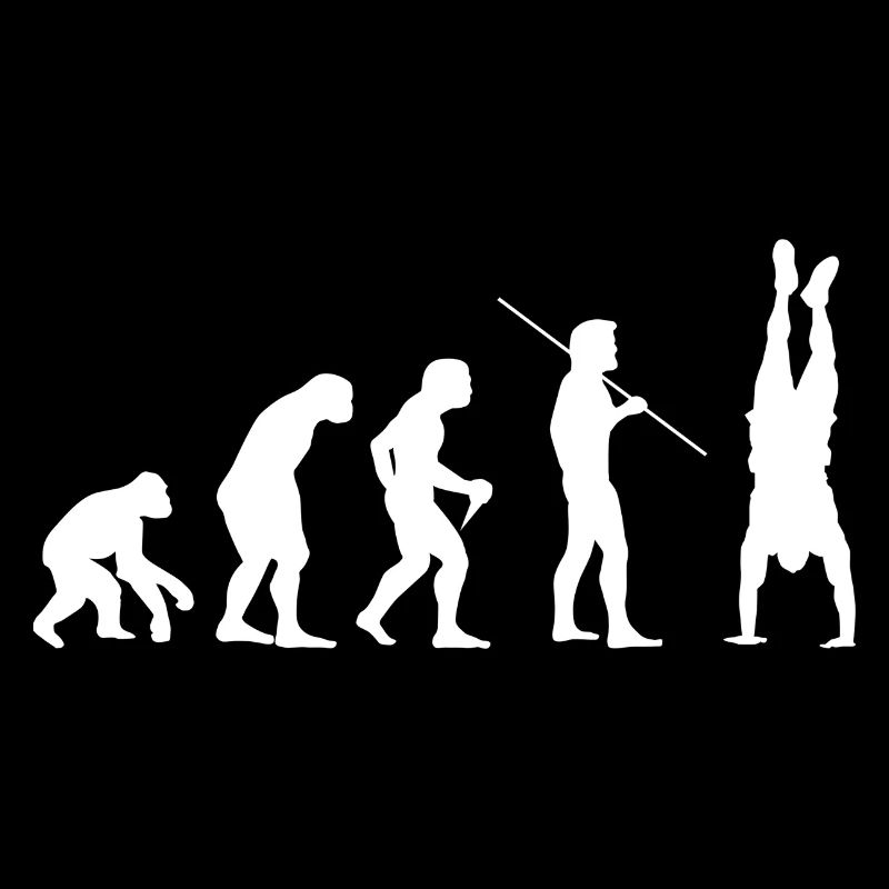 Evolution Handstand Fitness Gym Poids du corps