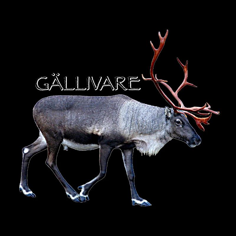 GALLIVARE