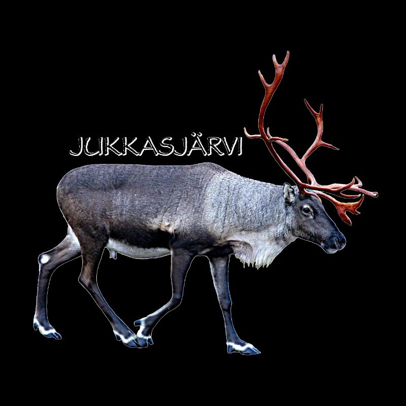Jukkasjärvi