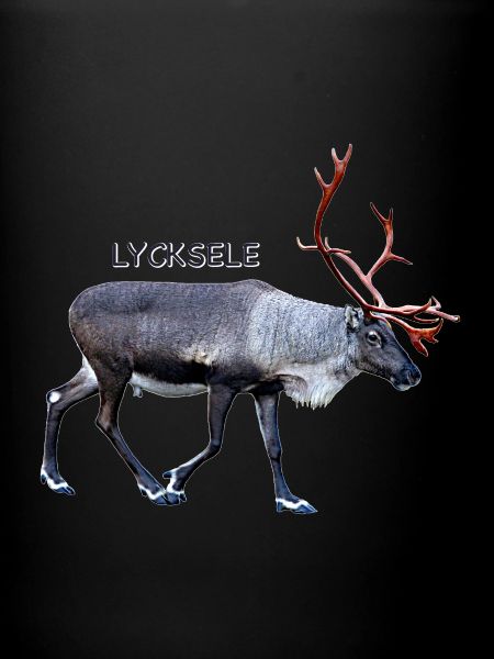 LYCKSELE
