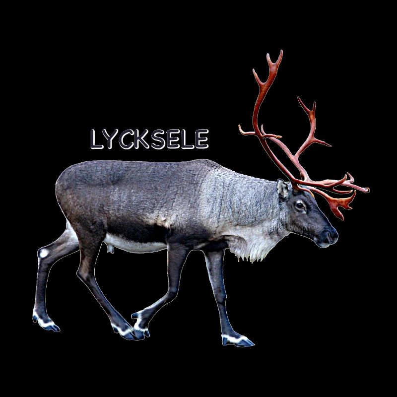 LYCKSELE