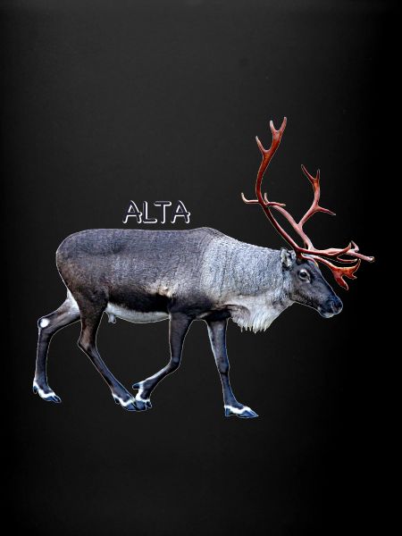 Alta