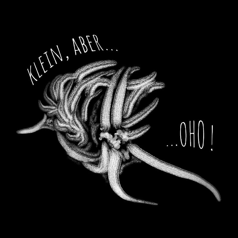 Limace – petite beauté