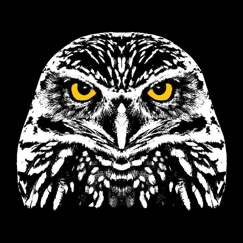 Owl with shining eyes